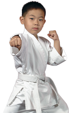 Featured image of post Boy Karate For Kids